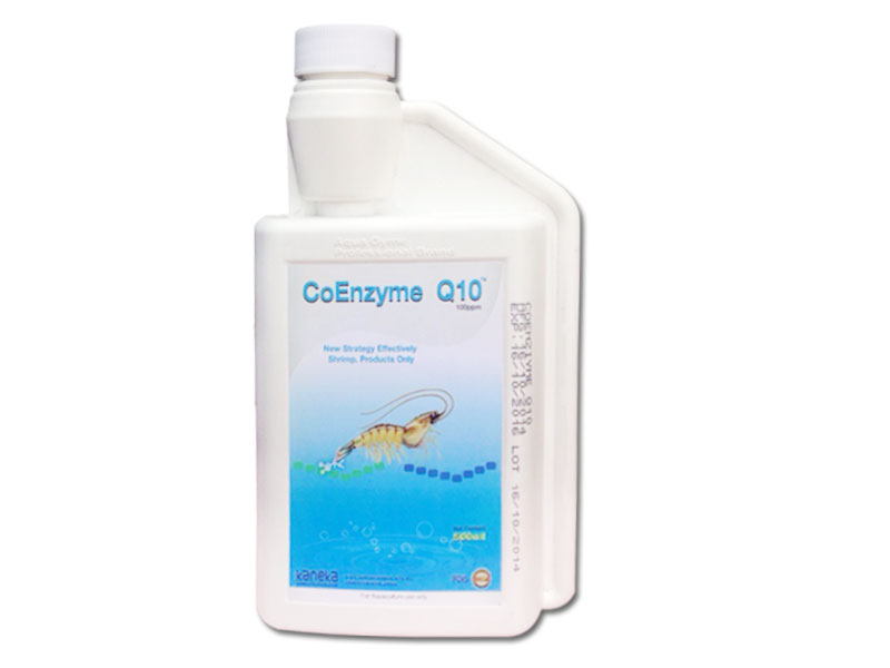 coenzyme-q10